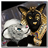 Eurofurence 2014 fursuit photoshoot. Preview picture of Bast Miriam, Gabriel